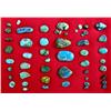 Collection of 51 Turquoise Cabochons and Pieces