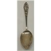Image 1 : Sterling Silver Nevada Collector Spoon