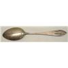 Image 2 : Sterling Silver Nevada Collector Spoon