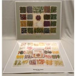 2 Navajo Dye And Medicine Chart Prints
