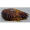 Image 3 : Native American Zuni Amber Bear Fetish