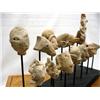 Image 2 : Collection Prehistoric Clay Heads on Display Rack
