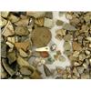 Image 2 : Large Collection of Native American Pot Sherds