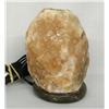 Image 1 : Salt Specimen Lamp on Wood Base