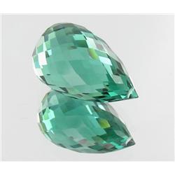 27.3ct Briloette Green Amethyst  Appr. Est. $5458 (GEM-22895)