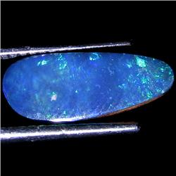 1.63ct Australian Black Opal Doublet Full Fire (GEM-30044)