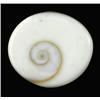 Image 1 : 12+ct India Shivas Gomti Chakra (GMR-0883C)