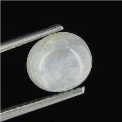 3.28ct Unheated Natural Star Sapphire (GEM-29157)