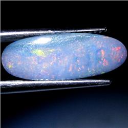 2.94ct Australian Black Opal Doublet Full Fire (GEM-30081)