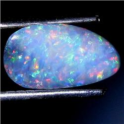 1.44ct Australian Black Opal Doublet Full Fire (GEM-30019)
