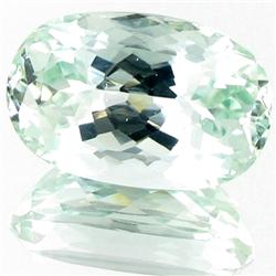 45.93ct Mint Green Kunzite Appraised $12k (GEM-23389)