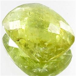 11.9ct Yellow Green Demantoid Garnet Apprsd $41k (GEM-27356)