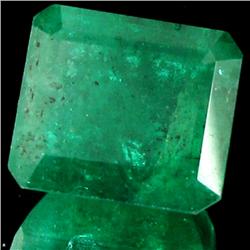 7.9ct Grass Green Brazilian Emerald Apprsd $32k (GEM-28634)