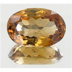 9.23ct Imperial Orange Topaz Appr Est $14k (GEM-27448)