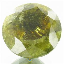 24.23ct Demantoid Garnet Appraised $94k (GEM-19708)