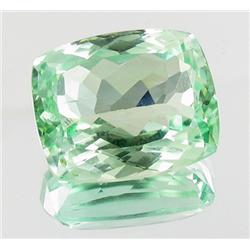 16.80ct Natural Green Kunzite  (GEM-26299)
