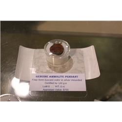 AMMOLITT PENDANT