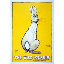 Arliss The Wild Rabbit Poster