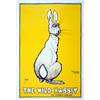 Image 1 : Arliss The Wild Rabbit Poster