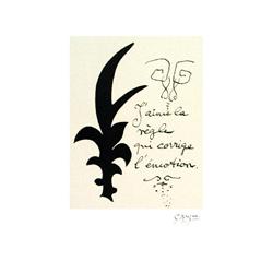 Braque Jaime La Regle Poster