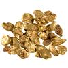 Sacramento,CA - c1850 - Placer Gold :