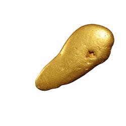 Washington,CA - Nevada County - Washington Gold Nugget ~ Small :