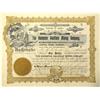 Image 1 : AZ - 1905 - Rochester Goldfield Mining Company Stock Certificate *Territorial* :