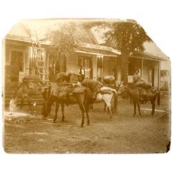 Washington,CA - Nevada County - c1890 - Mule Train Photograph :