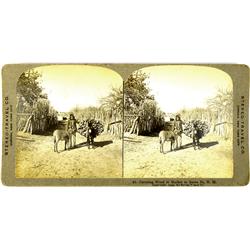 Santa Fe,NM - 1909 - Indian With Packed Burro, Stereoview :