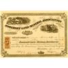 PA - Somerset County - April 8, 1865 - Somerset Land and Mineral Association, Stock Certificate :