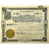 WA - 1901 - Darnell Mining and Milling Company Stock Certificate :