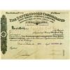 South Africa,Johannesburg - November 29, 1895 - Buffelsdoorn Consolidated Gold Mining Company, Limit