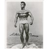 Image 1 : Steve Reeves
