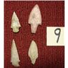 Image 1 : Arrowheads