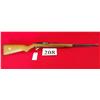 Marlin 60W 22 LR