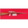 Image 1 : Marlin 60 SB 22 LR