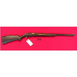 Glenfield Model 60 22 LR