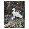 Image 1 : Chris Forrest, Snowy Egret, Lithograph