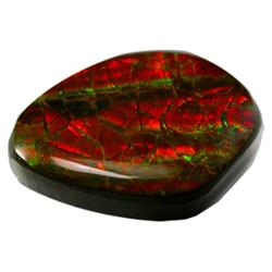 6.94ct Multi Color Flashing Ammolite  (GEM-28534)