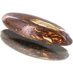 10.14ct Yowah Nut Boulder Opal (GEM-12738)