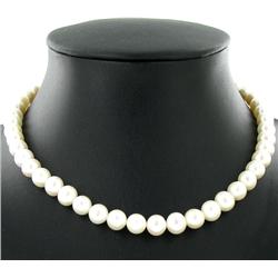 Black Peacock Saltwater Pearl Strand Necklace (JEW-2586)