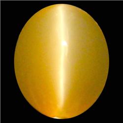 0.96ct Top Transparent Chrysoberyl Cats Eye  (GEM-23589)