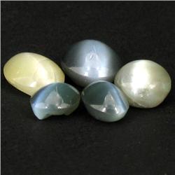 4.89ct Chrosyberyl Cat's Eye Appraised $13k (GEM-23014)