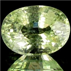 4.47ct Green Champaigne Cuprian Tourmaline Appraised $32k (GEM-29529)
