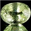 4.47ct Green Champaigne Cuprian Tourmaline Appraised $32k (GEM-29529)