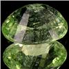 Image 2 : 4.47ct Green Champaigne Cuprian Tourmaline Appraised $32k (GEM-29529)