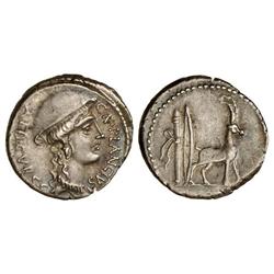 Denario. 55 a.C. PLANCIA. Cn. Plancius. Anv.: Cabeza de Diana Planciana, alrededor leyenda. Rev.: Ca
