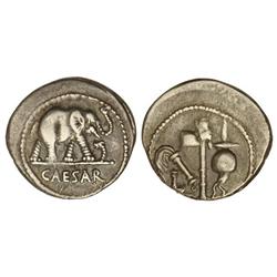 Denario. 59-44 a.C. JULIO CÉSAR. Anv.: CAESAR. Elefante marchando a derecha pisando una serpiente. R