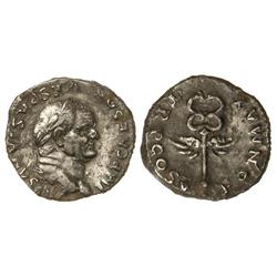 Denario. Acuñada el 74 d.C. VESPASIANO. Anv.: IMP. CAESAR VESPASIANVS AVG. Busto a derecha. Rev.: Ca