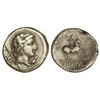 Image 1 : Denario. 82 a.C. CREPUSIA-1. Publius Crepusius. Anv.: Cabeza laureda de Apolo a derecha, delante sím